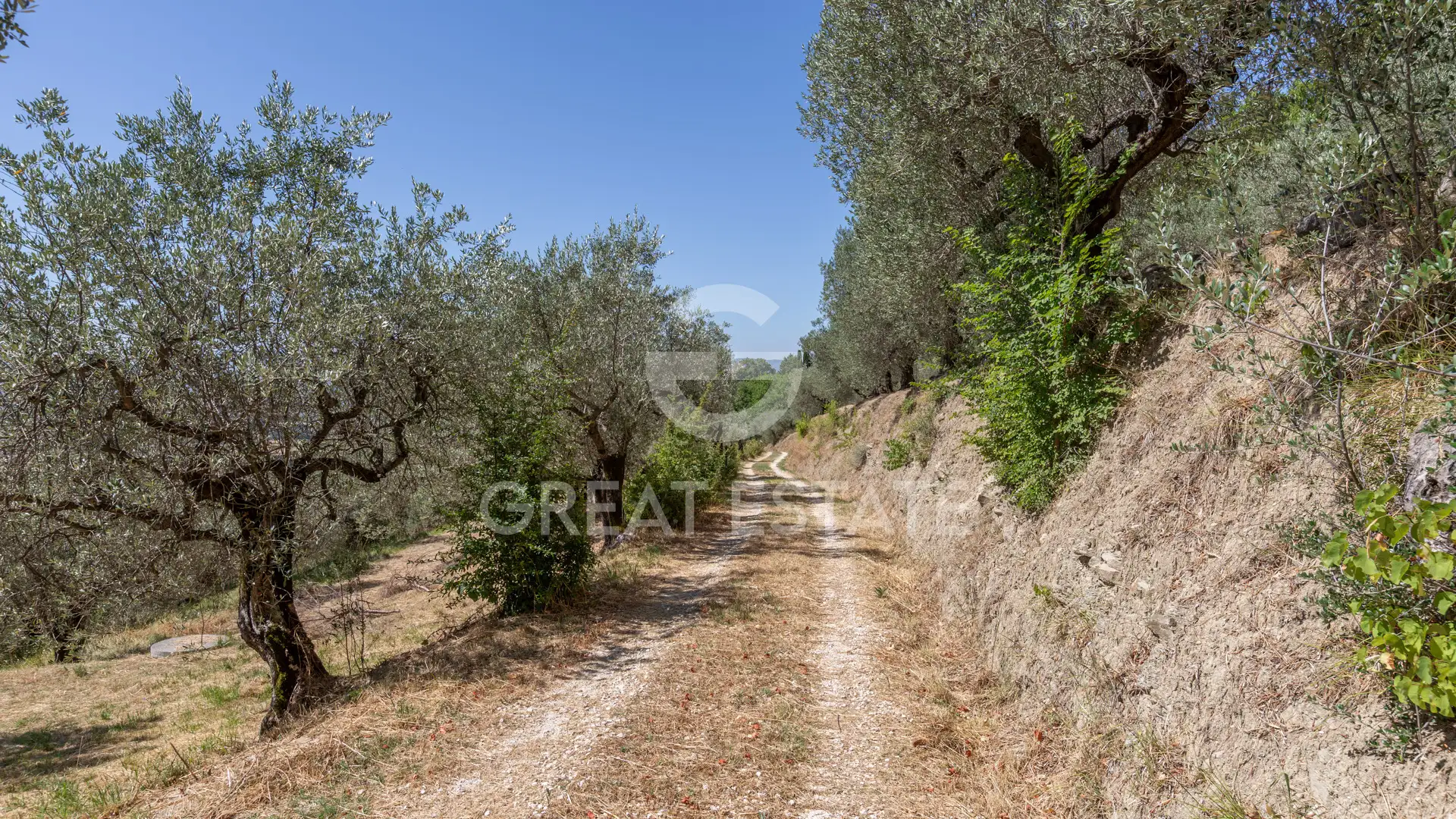 Дом 559м² в Италии, Перуджа. Стоимостью 1200000€ аренда фото-10