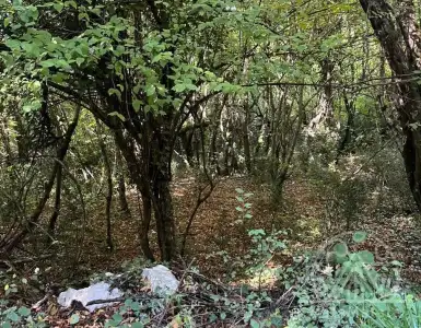 Купить земельный участок в Черногории 50000€