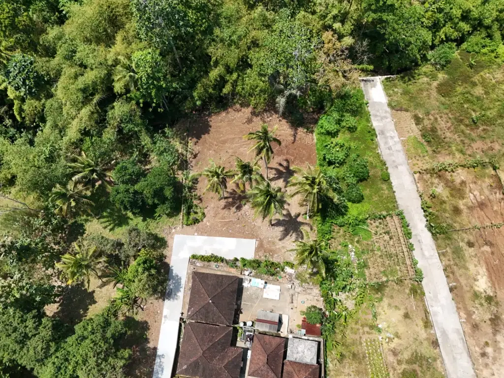 Земельный участок 0м² в Индонезии, Балиан. Стоимостью 53700$ аренда фото-9