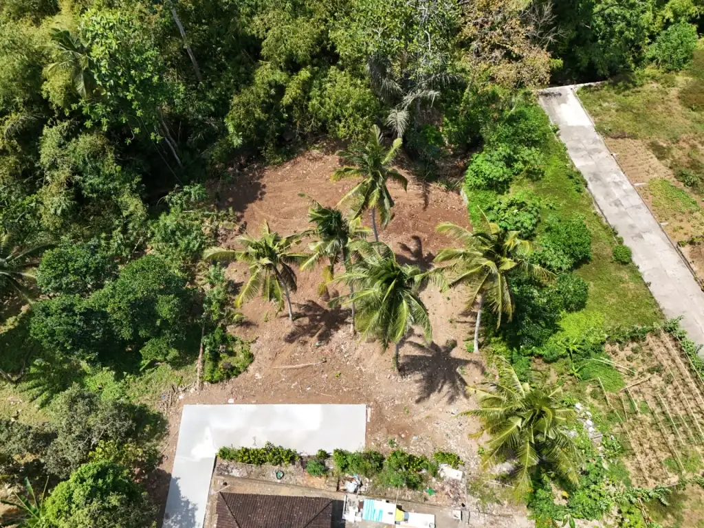 Земельный участок 0м² в Индонезии, Балиан. Стоимостью 53700$ аренда фото-12