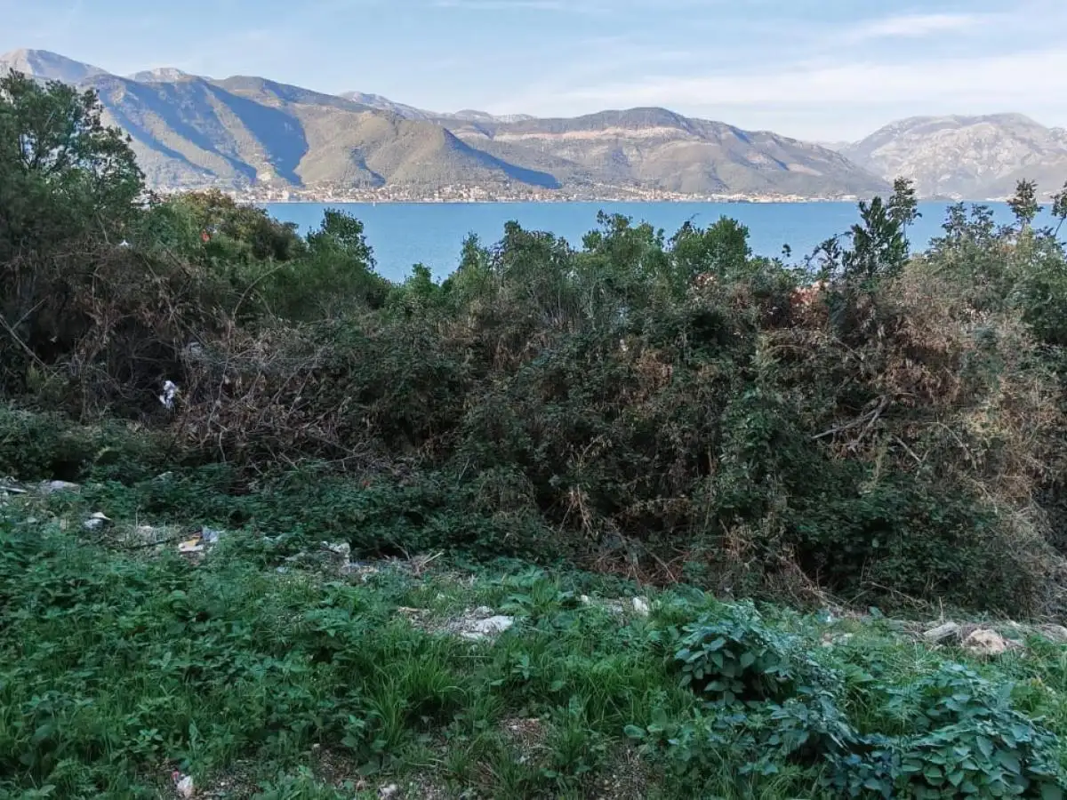 Земельный участок 1м² в Черногории, Крашичи. Стоимостью 55000€ аренда фото-3