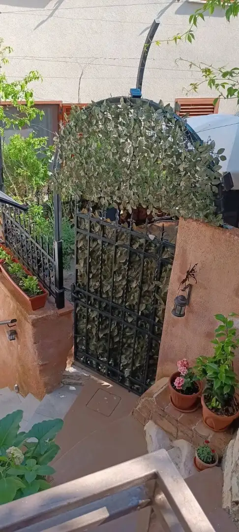 Отель, гостиница 81м² в Хорватии, Ровинь. Стоимостью 810000€ аренда фото-11