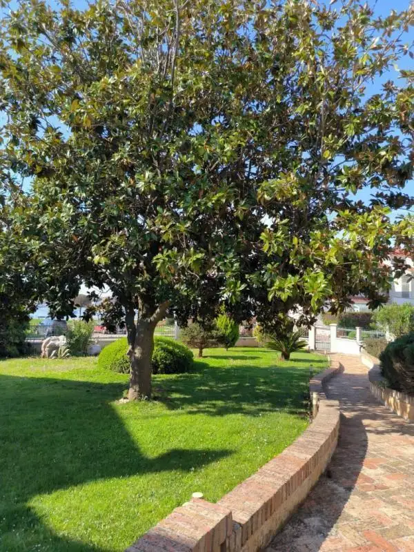 Вилла 380м² в Хорватии, Умаг. Стоимостью 1850000€ аренда фото-4