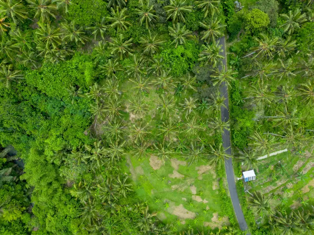 Земельный участок 0м² в Индонезии, Балиан. Стоимостью 78200$ аренда фото-2