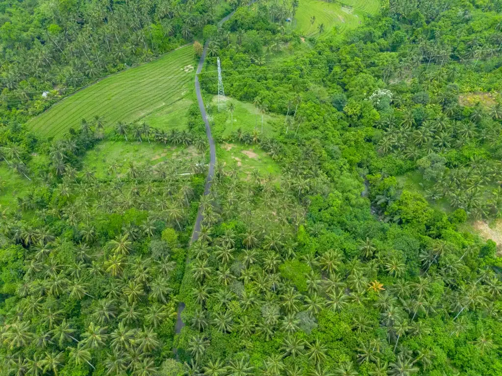 Земельный участок 0м² в Индонезии, Балиан. Стоимостью 78200$ аренда фото-7