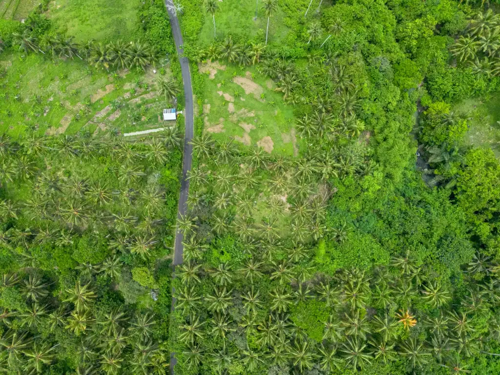 Земельный участок 0м² в Индонезии, Балиан. Стоимостью 78200$ аренда фото-8