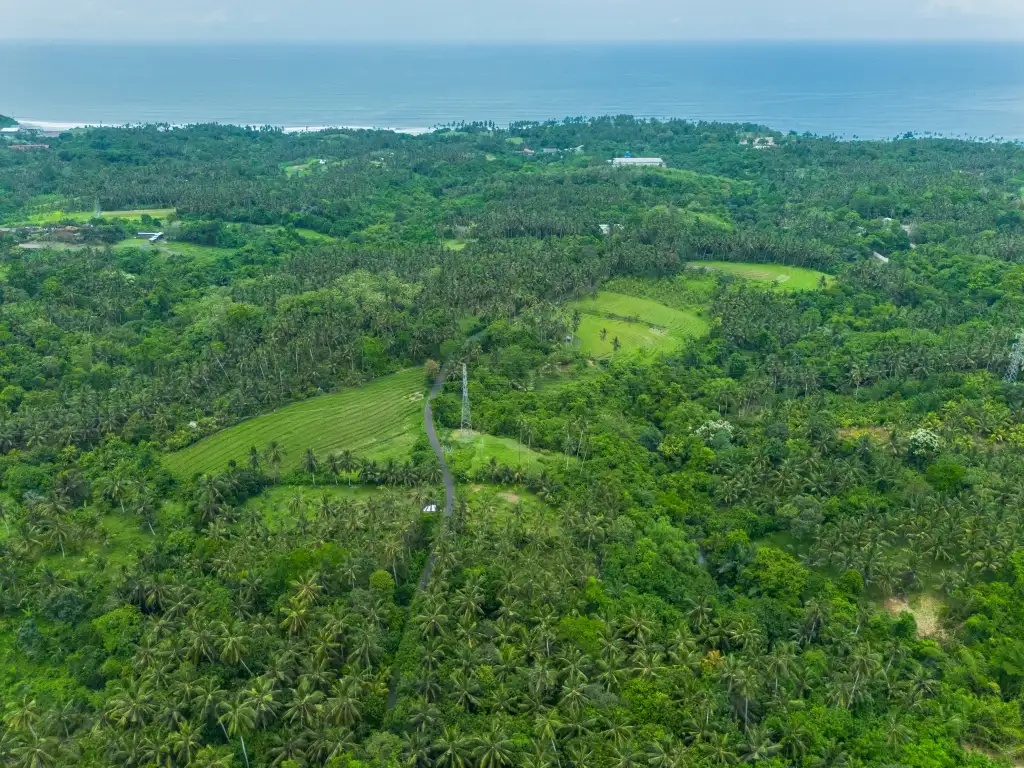 Земельный участок 0м² в Индонезии, Балиан. Стоимостью 78200$ аренда фото-10