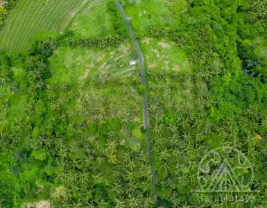 Арендовать земельный участок в Индонезии 78200$