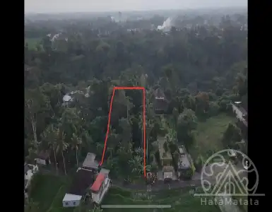 Купить земельный участок в Индонезии 224500$