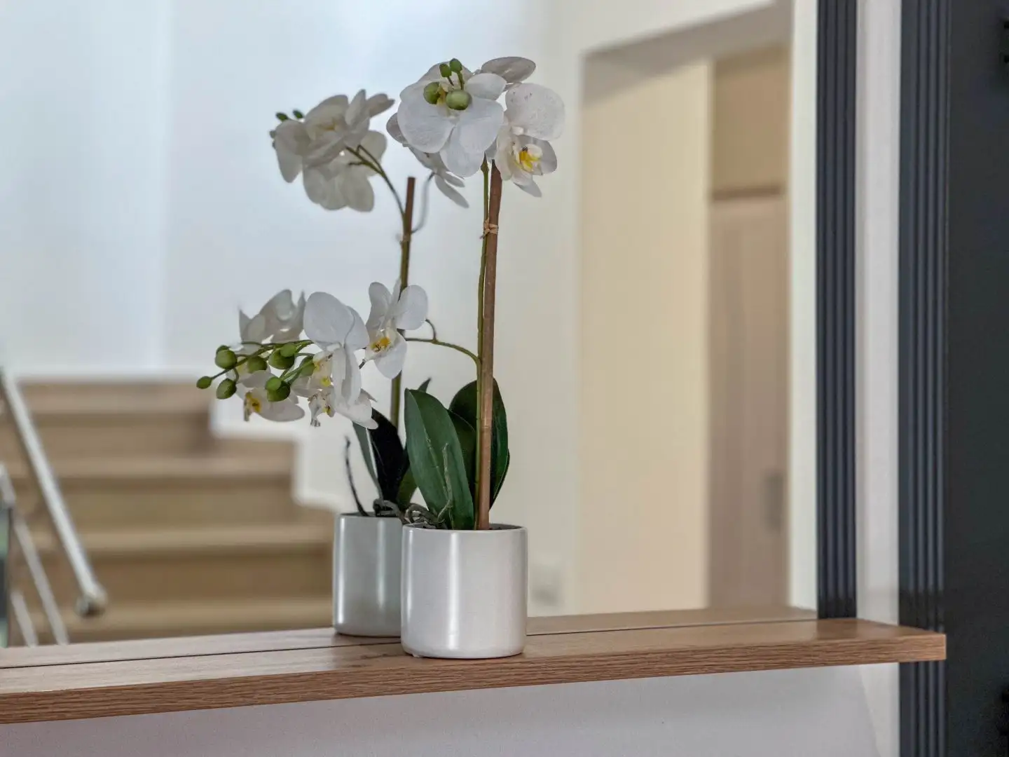 Вилла 277м² в Хорватии, Медулин. Стоимостью 1590000€ аренда фото-23