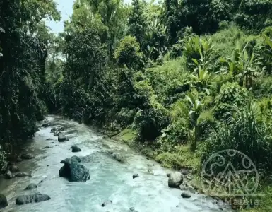 Купить земельный участок в Индонезии 304189$