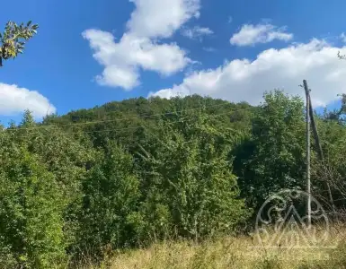 Купить земельный участок в Черногории 3990000€