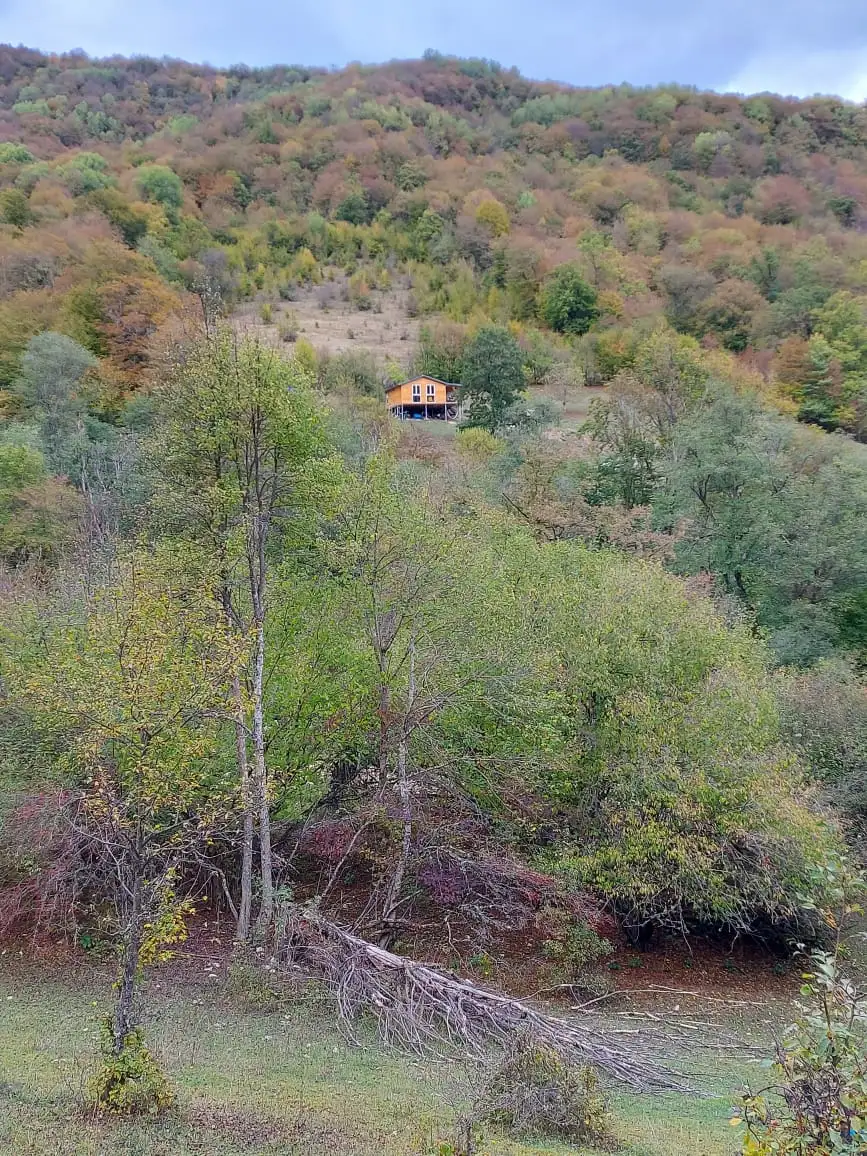 Дом 80м² в Грузии, Тианети. Стоимостью 149000€ аренда фото-6