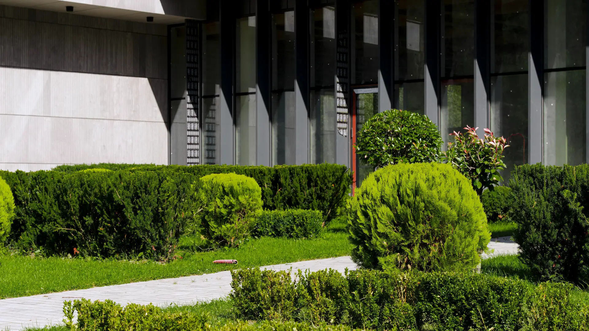 Квартира 26м² в Грузии, Душетский муниципалитет. Стоимостью 125000$ аренда фото-13