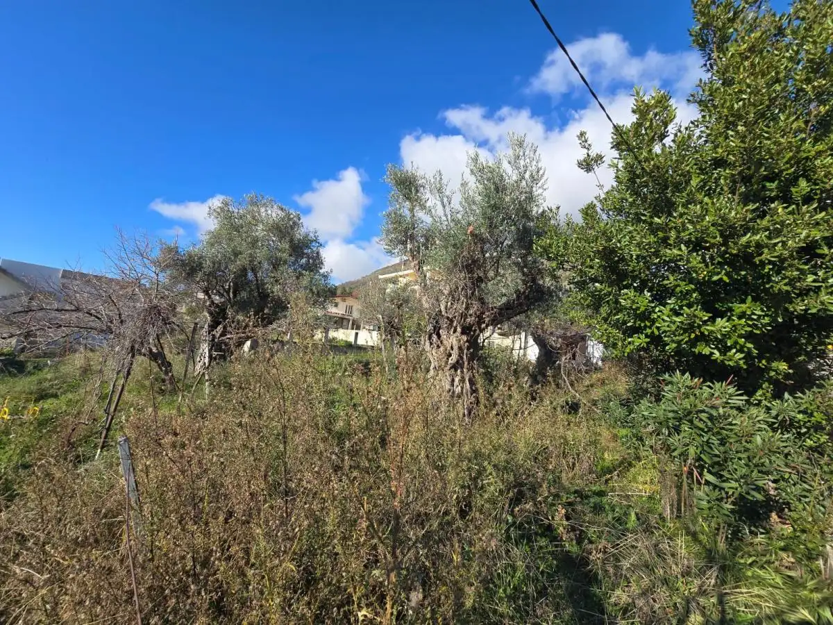 Земельный участок 1м² в Черногории, Шушань. Стоимостью 150000€ аренда фото-7