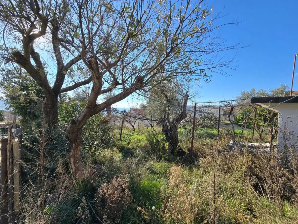 Земельный участок 1м² в Черногории, Шушань. Стоимостью 150000€ аренда фото-10