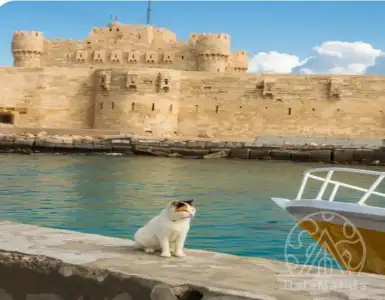 Купить квартиру в Египте 25000€