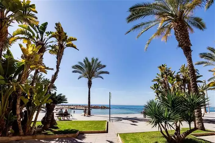 Квартира 1м² в Испании, Торревьеха. Стоимостью 365000€ аренда фото-29