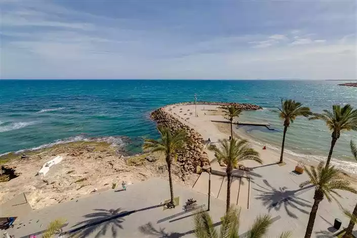 Квартира 1м² в Испании, Торревьеха. Стоимостью 365000€ аренда фото-5