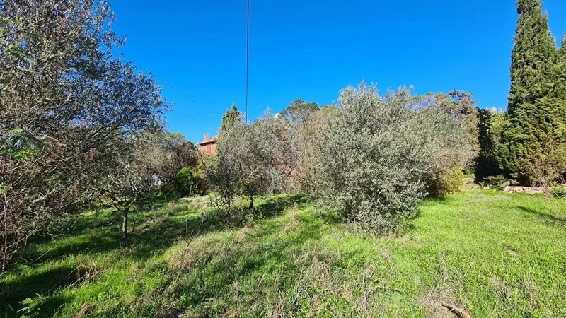 Дом 140м² в Франции, Сен-Рафаэль. Стоимостью 591420£ аренда фото-5
