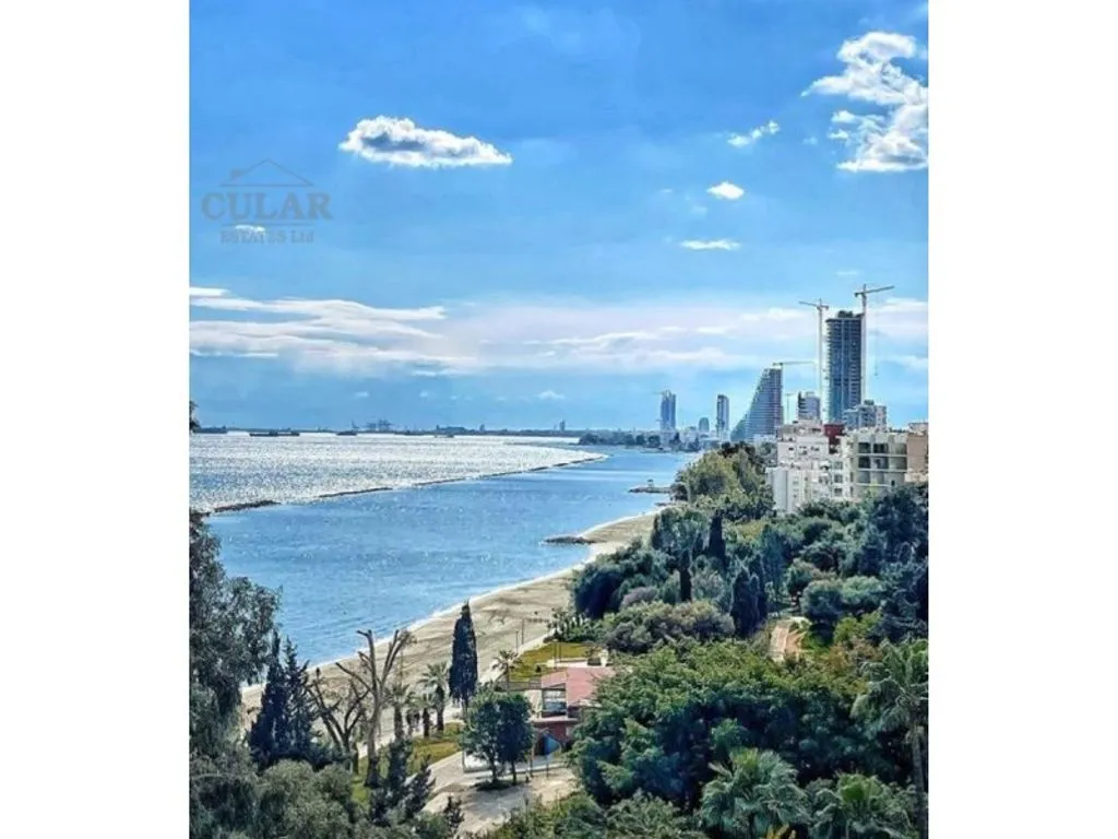 Квартира 421м² в Кипре, Лимасол. Стоимостью 6070600€ аренда фото-12
